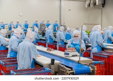 The Workers Are Busy In A Modern Broiler Processing Factory On The Automated Production Line Of Broiler Segmentation. Cutting Meat Slaughterhouse Workers In The Refrigerator In The Food Factory.