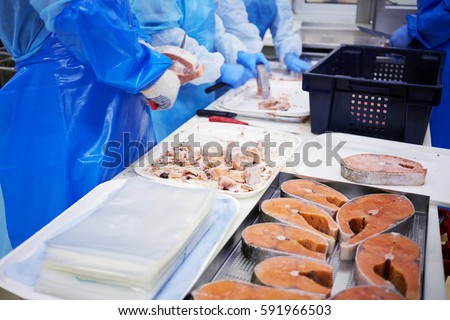 Workers clean pieces of frozen salmon in work shop of factory. 
