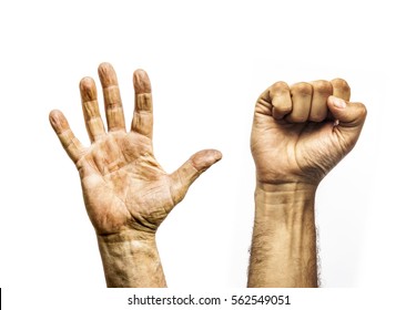 Workers Dirty Hands, Open Palm And Clenched Fist Isolated On White Background. Raised Human Hands. 