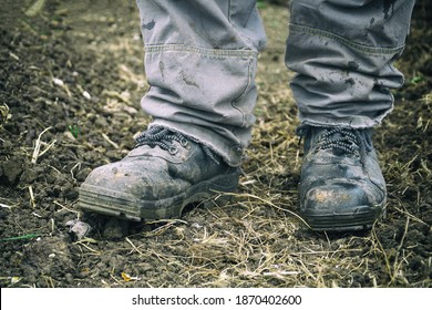 4,692 Dusty Boots Images, Stock Photos & Vectors | Shutterstock