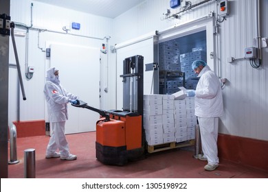 Workers With Hygienic Clothes Removing A Pallet Of Boxes From The Freezer Camera Of The Meat Cutting Room