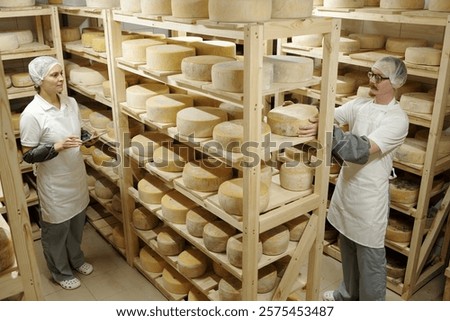 Workers inspecting large cheese wheels aging on wooden racks in spacious storage room with numerous shelves of cheese wheels visible in background