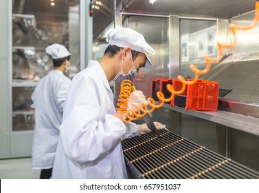 Workers And Machinery In A Solar Panel Manufacturing Industry Factory.