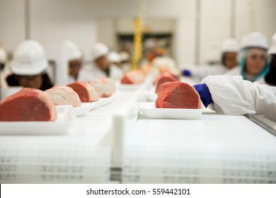 Workers At Meat Packaging Plant Processing Large Cuts 