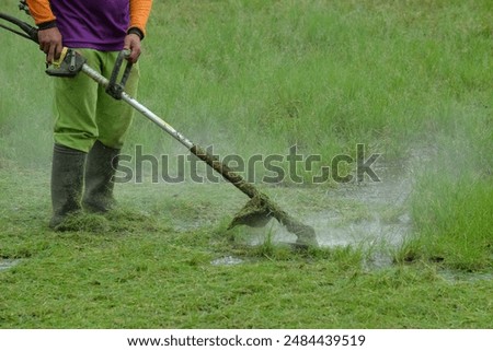 Workers are mowing the grass using a lawn mower. Closed up of a hand holding a grass cutting tool. Wet field grass after rain