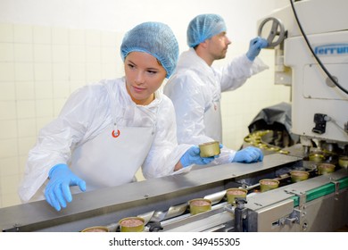 Workers On Food Production Line