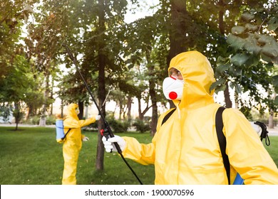 Workers spraying pesticide onto tree outdoors. Pest control - Powered by Shutterstock