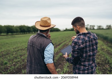 Workers Talking On Corn Field.