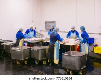 Workers working in a chicken meat plant.