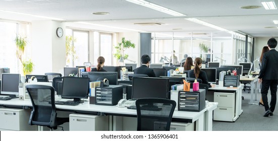 Working businessperson in office. - Powered by Shutterstock