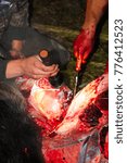 Working by flashlight while field dressing a moose.