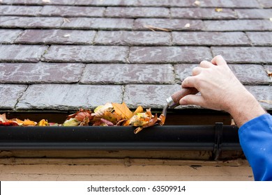 Working Hands Clearing Autumn Leaves from Gutter with Trowel