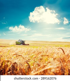 Working Harvesting Combine In The Field Of Wheat. Agriculture Concept. Toned Photo With Copy Space.