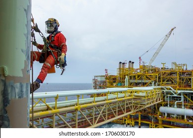 Working at height. An abseiler wearing Personal Protective Equipment (PPE) and fall protection device hanging at pipeline for painting activities with background oil and gas platform.