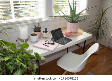 Working From Home At Desk With White Chair  Laptop And  Potted Plants