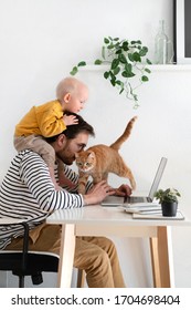 Working from home. Father freelancer with baby and cat in home office at his desk. Family indoors