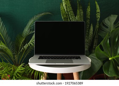 Working At Home Garden, Laptop Surrounded With Green Leafy Potted Plants, Front View Of The Screen, Blank Space For A Text