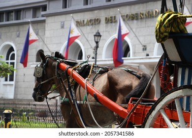 The Working Horse. They Call It In The Philippines As Kalesa