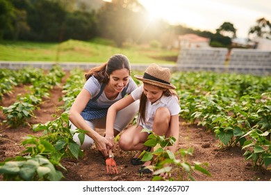 Working the land. Shot of an attractive young woman and her daughter working the fields on their family farm.