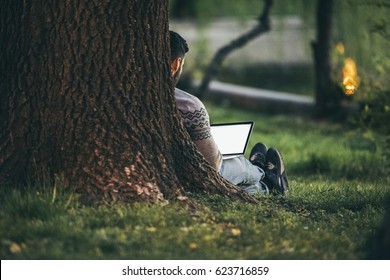 Working In Nature - Man With A Laptop In A Park