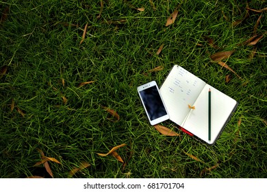 Working with notebook in the park 5