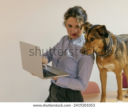 working in the office with the computer and with the dog by my side