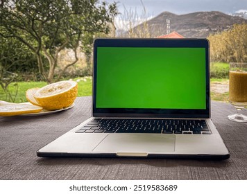 Working on a laptop in nature with a green screen chroma key and a drink - Powered by Shutterstock