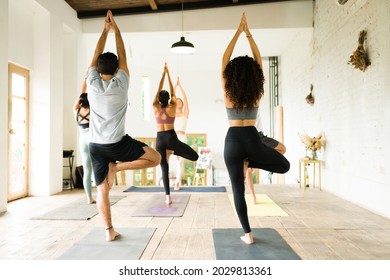 Working on my balance. Group of diverse young people practicing a tree pose during a yoga class