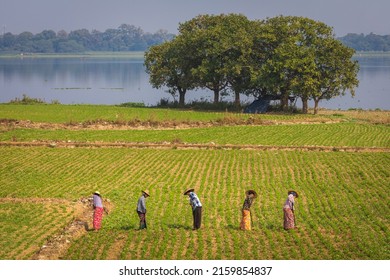 Working People In Amarapura, A Former Capital Of Myanmar, And Now A Township Of Mandalay City.