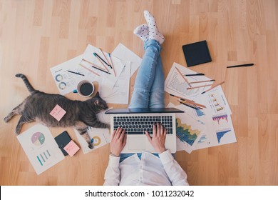Working space with a cat assistant - Shutterstock ID 1011232042