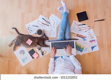 Working space with a cat assistant - Shutterstock ID 1011232051