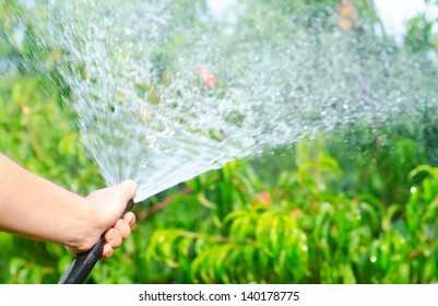 Working Watering Garden From Hose