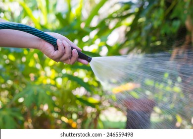 Working Watering Garden From Hose