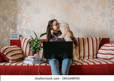 Work-life Balance, Home Office, Work Space, Work From Home, Flexible Work Hours Concept. Young Woman With Laptop And Cat Working At Sofa.