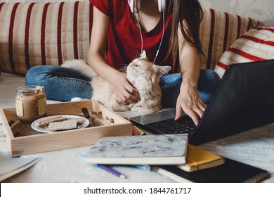 Work-life Balance, Home Office, Work Space, Work From Home, Flexible Work Hours Concept. Young Woman With Laptop And Cat Working At Sofa