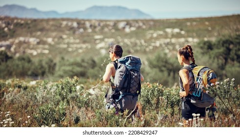 Workout Friends Or Women Hiking, Fitness Or Exercise With Walking In Nature On Mountain Dust Path. Health, Training Or Sports Girl In Nature Environment With Freedom, Trees Or Travel Outdoor Trekking