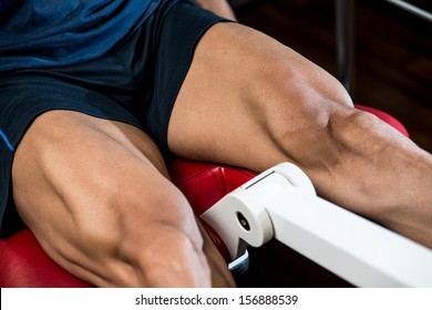 Workout Leg Exercises