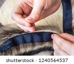 workshop of manufacturing of coats from raccoon fur - furrier stitches fur pelts by needle close up