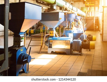 Workshop For The Production And Processing Of Oilseed Rape, Biofuel Production, Production Of Rapeseed Oil, A Working Workshop With Equipment, Fuel, Manufacturing