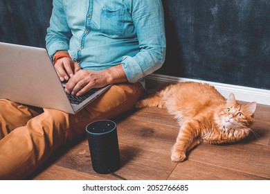 Workspace at home office. Man with laptop sitting on wooden floor. Pet cat lying near alexa speaker. Man working at the computer. Playing music from voice smart control.