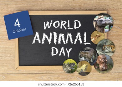 World Animal Day