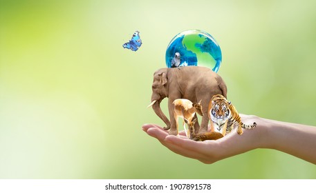 World Animal Day, Wildlife Day concept. Saving planet Earth, protect nature reserve, protection of endangered species and biological diversity. Elephant, tiger, deer, parrot in hand and butterfly.