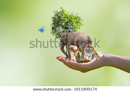 World Animal Day or Wildlife Day concept. Elephant, tiger, deer, parrot and green tree in human hand. Saving planet, protect nature reserve, protection of endangered species and biological diversity.