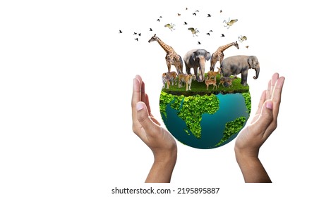 World Animal Day World Wildlife Day  Groups of wild beasts were gathered in the hands of people - Shutterstock ID 2195895887