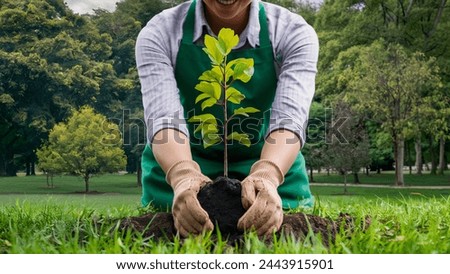 World Arbor Day Tree Planting