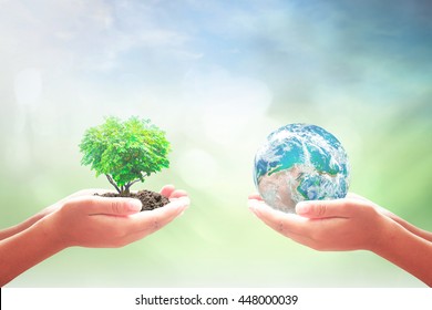 World Charity Day Concept: Two Children Hands Holding Earth Globe And Heart Shape Of Tree Over Blurred Nature Background. Elements Of This Image Furnished By NASA