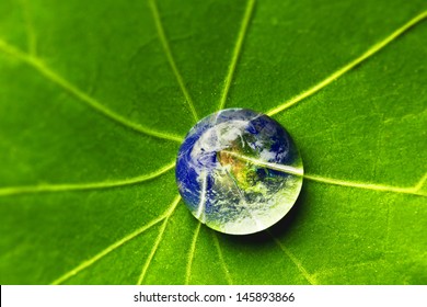 The World In A Drop Of Water On A Leaf. Elements Of This Image Furnished By NASA
