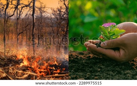 World Earth Day concept. Hands planting trees against forest fires, protection. Global warming. Nature conservation , green business. Sustainable development. Renewable energy. Future Sustainability