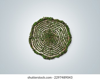 World environment day 2023 concept background. Ecology concept. Design with globe map drawing and leaves isolated on white background. Better Environment, Better Tomorrow. - Shutterstock ID 2297489043