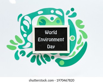 World Environment day. Abstract fluid shapes, paper art in green color, off white concept background, monochrome look. Message blackboard, chalk board. Holiday to celebrate eco friendly lifestyle.
